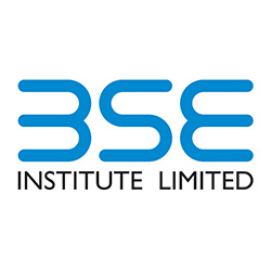 BSE Institute Ltd-Logo